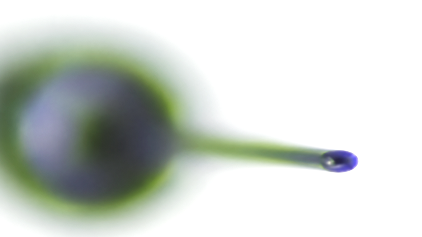 Soft-focus macro droplet form on white: an olive-rimmed slate bulb tapering through a thin stem to a small violet bead